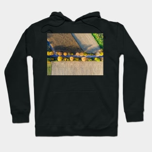 Aerial view of country road, autumn trees and ploughed field Hoodie